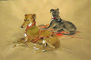 Whippets Whippets