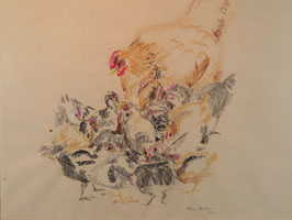 Chickens Feeding Chickens Feeding